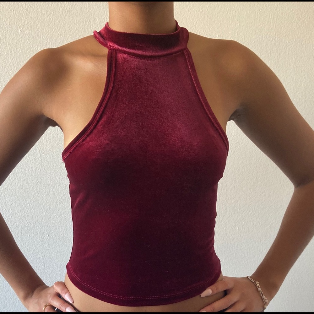 Wine Velvet Turtle Neck Crop Top